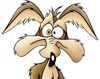 Coyote