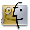 dshsrl